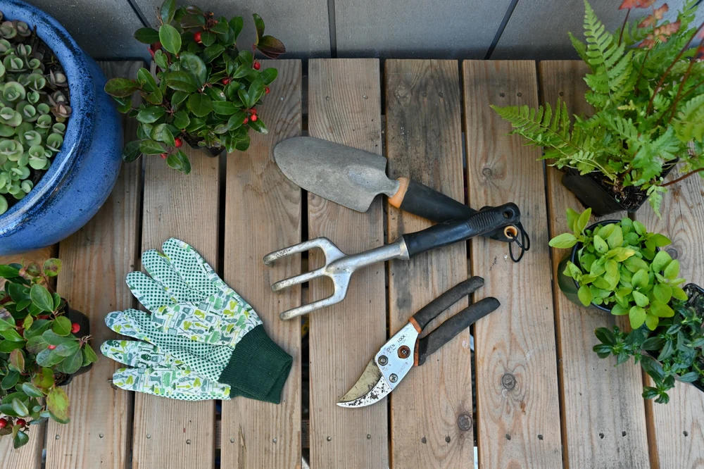Gardening Essentials