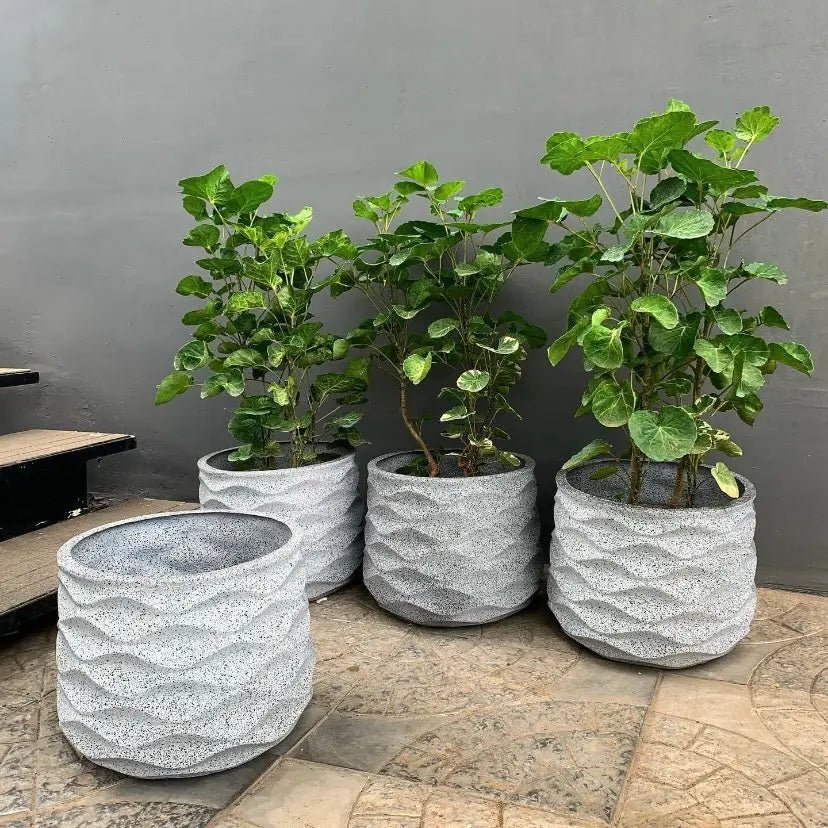 Pots & Planters